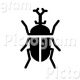 甲虫 B/Wシンボル
